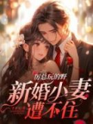 童晚书厉邢全文阅读 厉总玩的野，