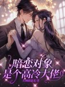 《暗恋对象是个高冷大佬》小说全