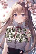 宋凝叶景琛《领证半年，他和初恋
