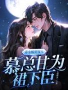乔小姐别嫁人，慕总甘为裙下臣小