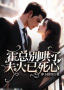 岑韵霍惟安完整版全文阅读 霍总别