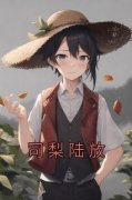 司梨陆放小说完整版在线阅读（主