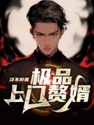 叶一凡冷若冰极品上门赘婿免费在