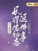 关于老公长得像初恋这件事司年纪