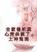 《苏冉冉白芷柔》全文及大结局精