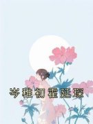 《岑稚初霍延琛》大结局在线试读