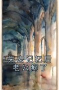 《江鸾沈清淮》小说全文在线阅读