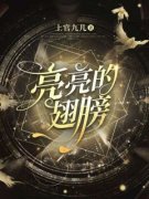 亮亮的翅膀全文目录 诸亮胡晓霞免