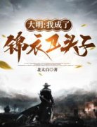 陆辞苏锦免费阅读 大明：我成了锦