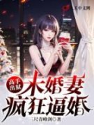 小说《高手：未婚妻疯狂逼婚》叶