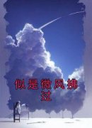 《似是微风拂过》全集免费在线阅