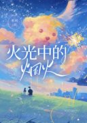 《火光中的烟火》小说章节在线试