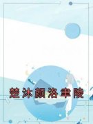 楚沐颜洛聿陵楚沐颜洛聿陵楚沐颜