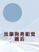 当舔狗男配觉醒后程堰蒋雯洁阅读