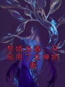 精彩章节《赘婿当道：开局甩了女