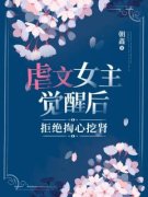 《苏琳霍鸿》小说大结局精彩试读