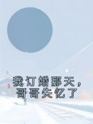 唐黎唐烨免费阅读(我订婚那天，哥