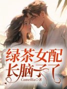 《绿茶女配长脑子了》司御琛温软