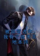 《被异常选中，我有了毁天灭地本