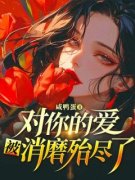 对你的爱，被消磨殆尽了小说阅读