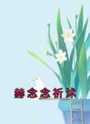 《赫念念祈沭白倩》小说大结局在