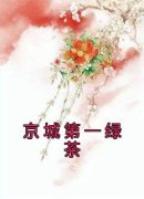 《京城第一绿茶》小说章节列表在