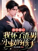 谢南星贺淮川被劈腿后，我怀了渣