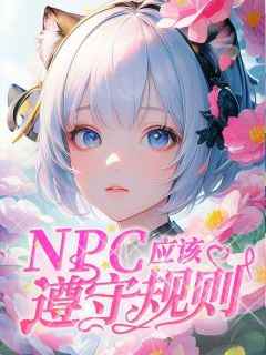 NPC应该遵守规则