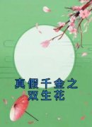 刘无眉阿紫真假千金之双生花_刘无