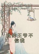 我的王爷不信我全章节免费在线阅