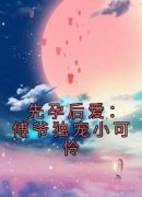 《桑诺傅斯言》小说全文精彩阅读