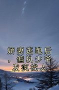 娇妻逃跑后，偏执少爷发疯找人方