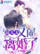 陆太太又闹离婚了小说全集免费在