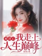 《被渣后，我走上人生巅峰》大结
