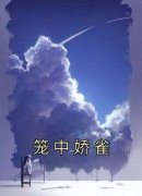 《叶柠谢聿礼》笼中娇雀小说全部