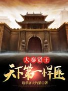 《秦枫半夏》第1章大秦贤王小说精
