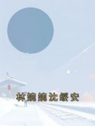 林婉婉沈绥安主角林婉婉沈绥安小