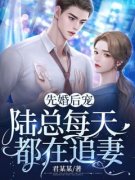 《先婚后宠：陆总每天都在追妻》
