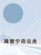 周清宁岳云舟周清宁岳云舟小说阅