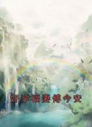 好孕福妻傅今安洛染傅今安全本在
