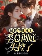 温迎季庭鹤藏起孕肚分手，季总彻