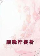 顾晚柠晏析小说最新章节免费阅读