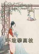 《清月白云生》小说大结局在线试