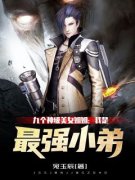 《陈逸张玉婉》小说大结局在线阅