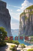 《沈既白叶佳》完结版在线试读 《