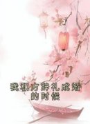 宋时安方辞礼小说 《我和方辞礼成