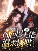 《闪婚后，被凶巴巴大佬温柔诱哄