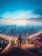 主角是阮时宜慕逸川的小说 《阮时