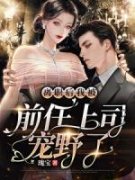 唐甜段榆景小说 《离职后我被前任