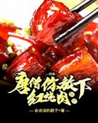 《张凡李世民》小说全集免费在线